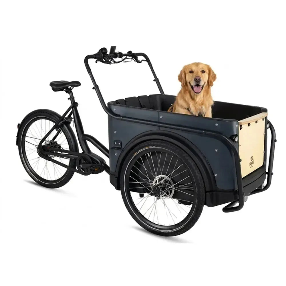 Royal Cargo Bike 3W Premium Plus – Antracitas