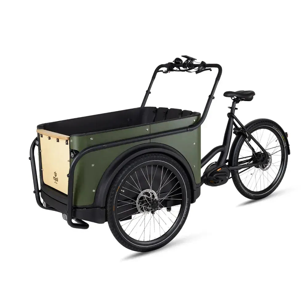 Royal Cargo Bike 3W Premium Plus – Žalias