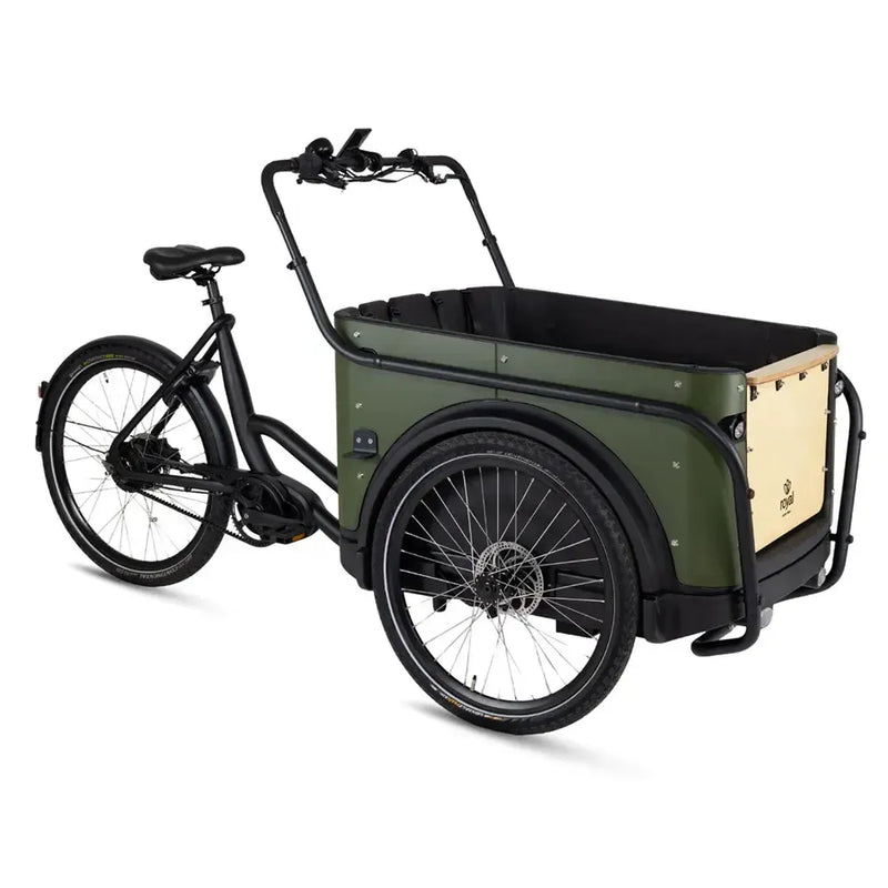 Royal Cargo Bike 3W Premium Plus – Žalias