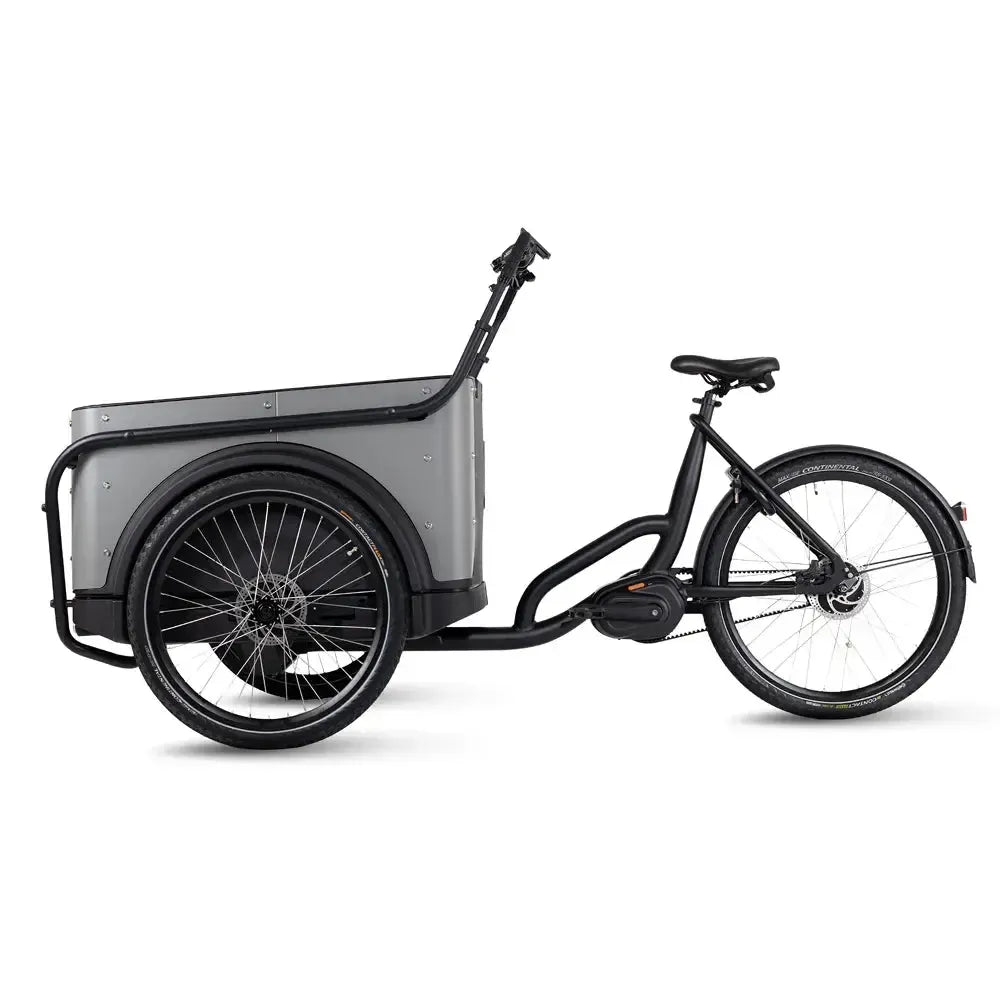Royal Cargo Bike 3W Premium Plus – dūminės pilkos spalvos