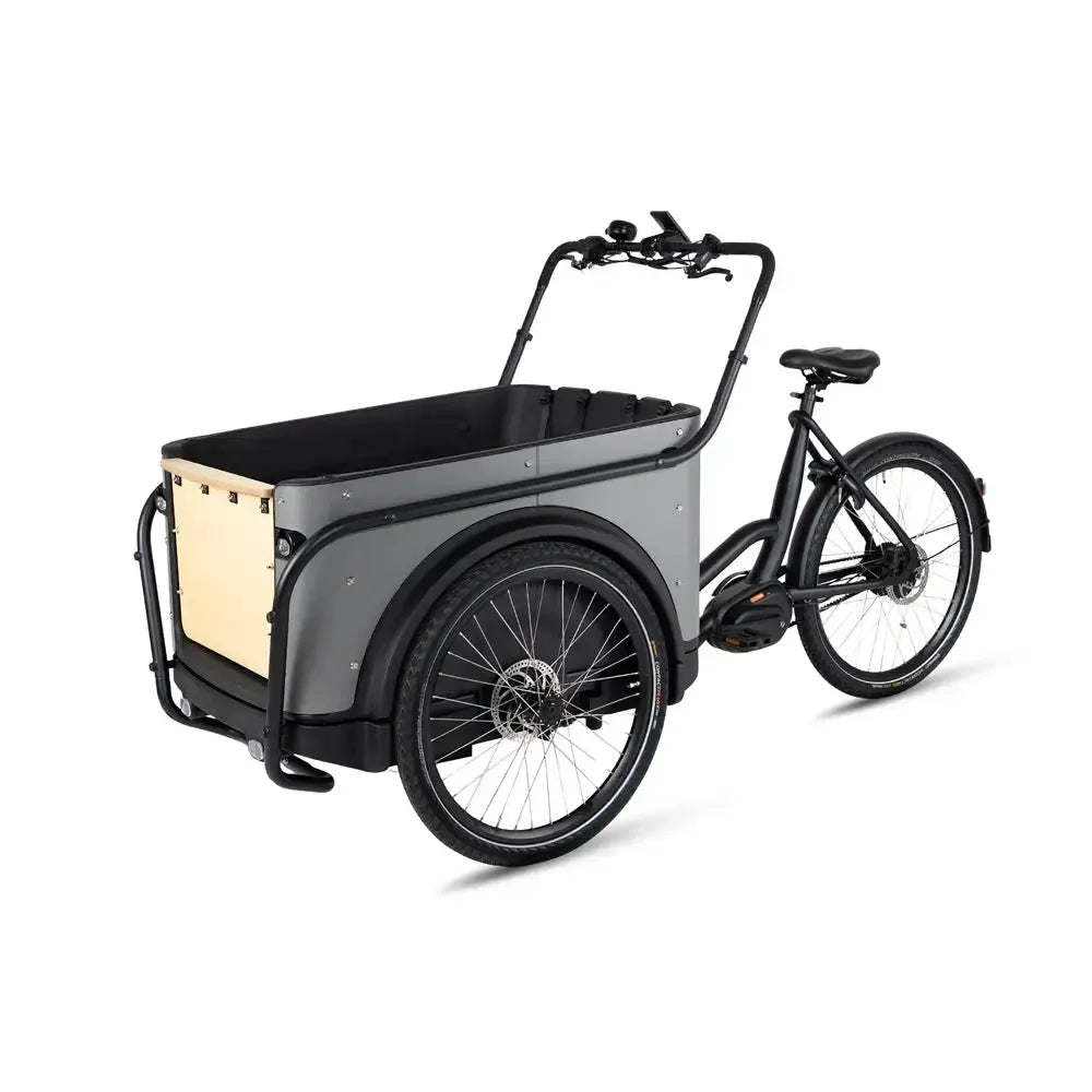 Royal Cargo Bike 3W Premium Plus – dūminės pilkos spalvos