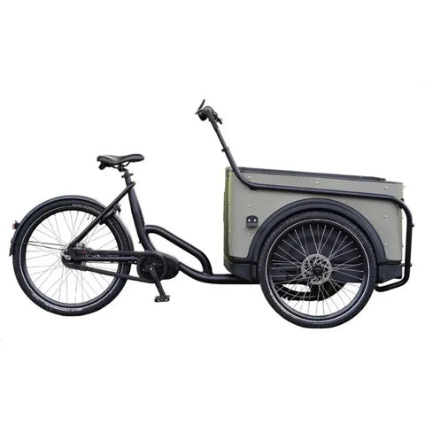 Royal Cargo Bike 3W Premium Plus – dūminės pilkos spalvos
