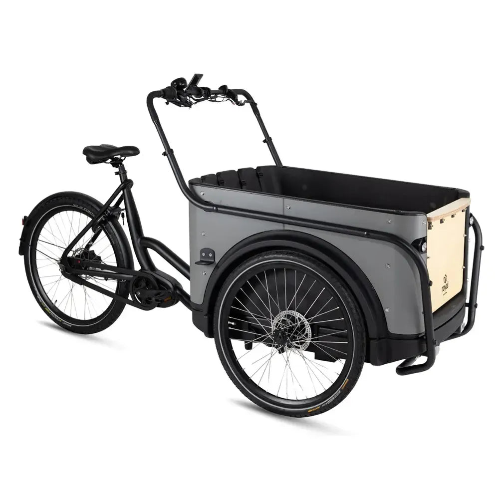 Royal Cargo Bike 3W Premium – smėlio spalvos
