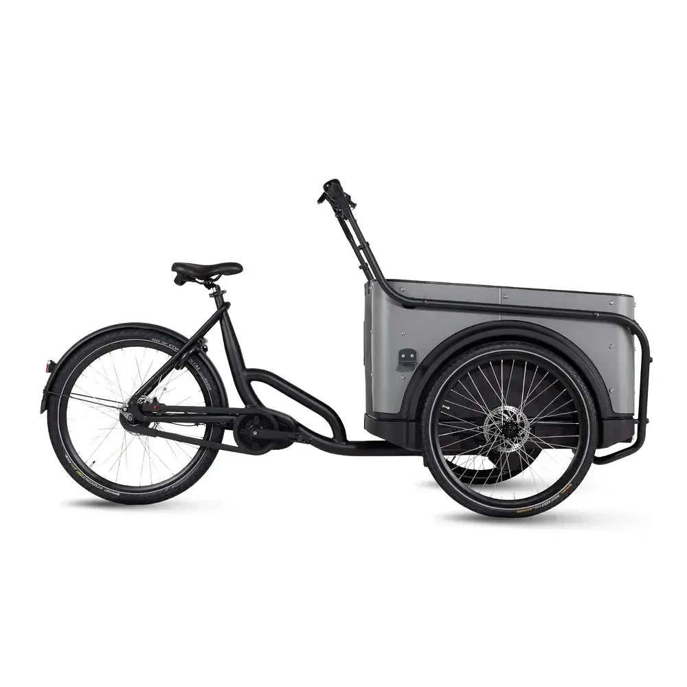 Royal Cargo Bike 3W Premium – smėlio spalvos