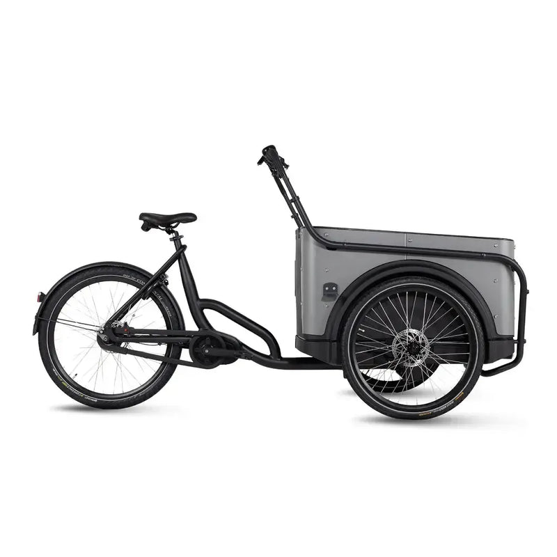 Royal Cargo Bike 3W Premium – smėlio spalvos