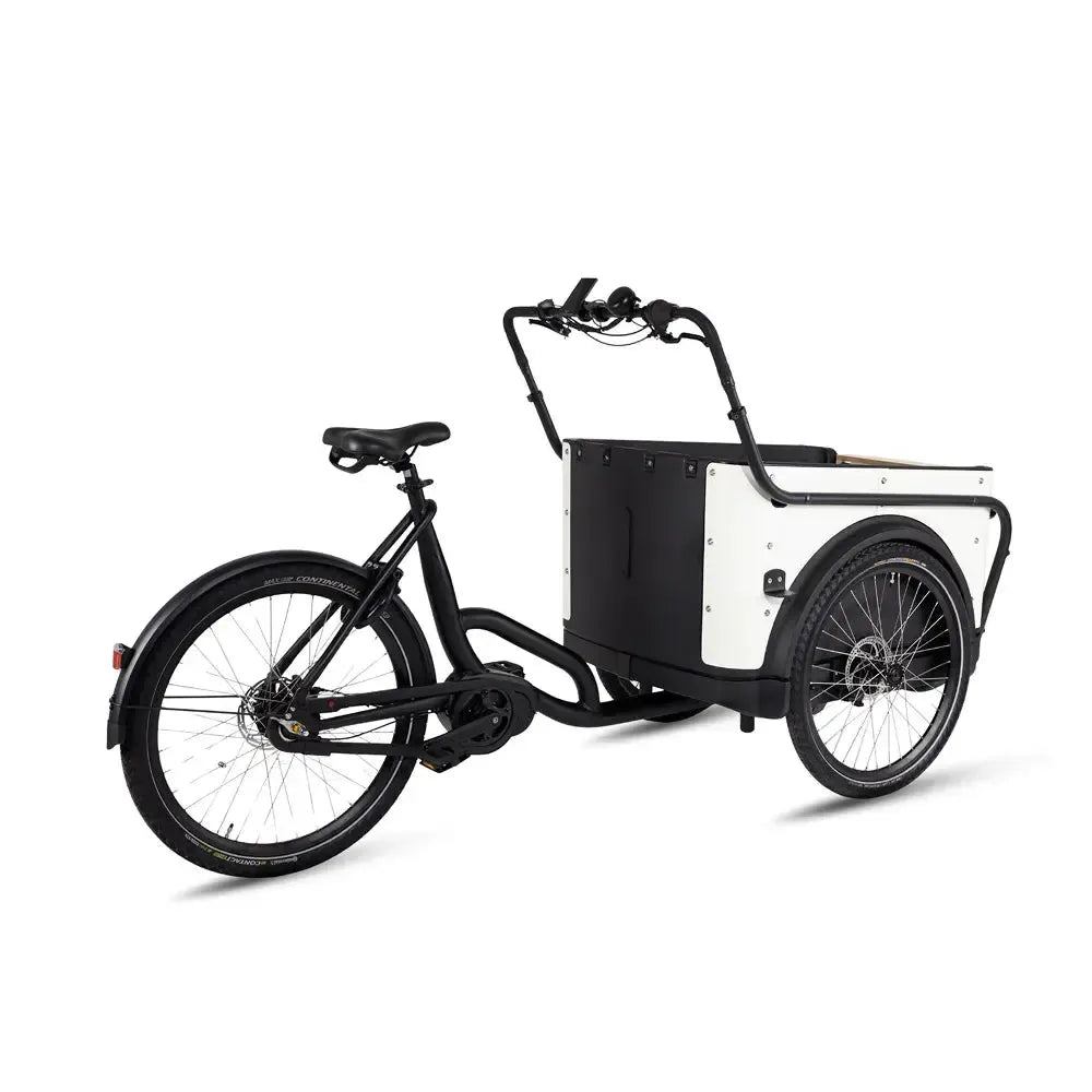 Royal Cargo Bike 3W Premium – Balta