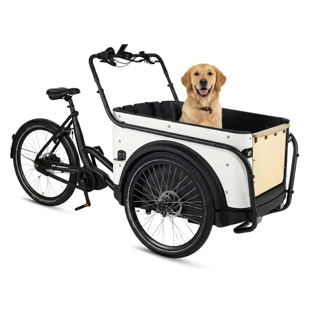 Royal Cargo Bike 3W Premium – Balta