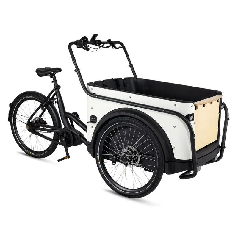Royal Cargo Bike 3W Premium – Balta