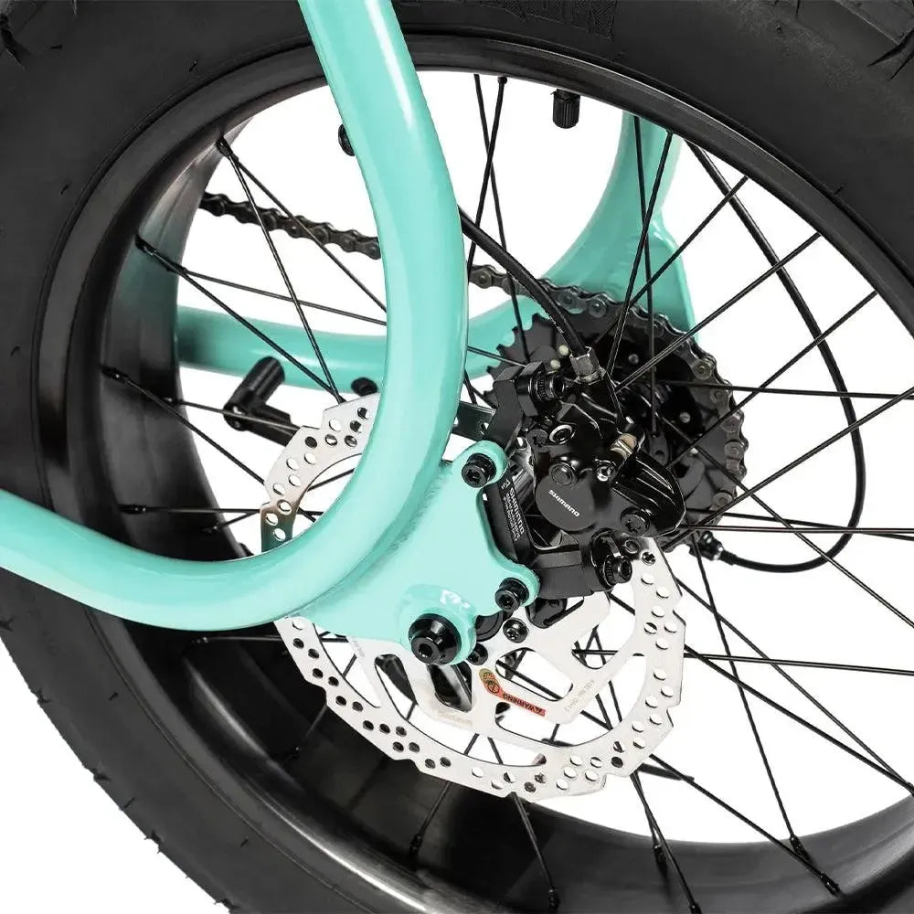 Ruff Cycles Lil'Missy – Holis