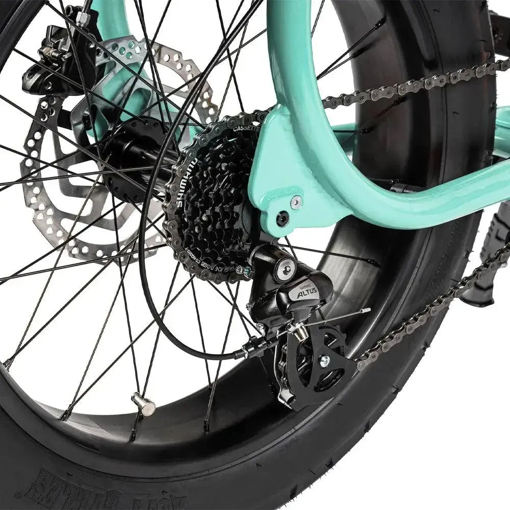 Ruff Cycles Lil'Missy – Holis