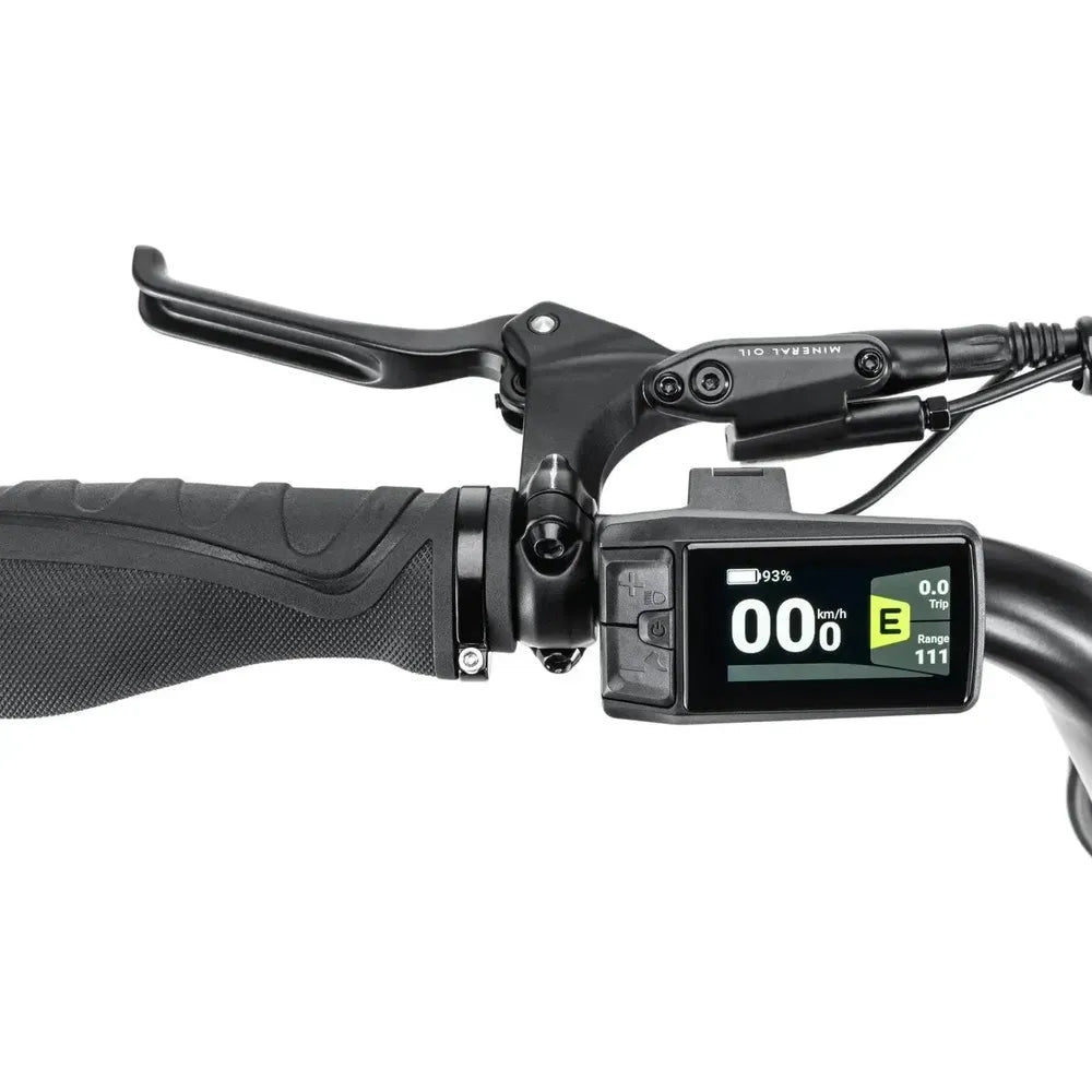 STOER Bikes Urban X – Žalias