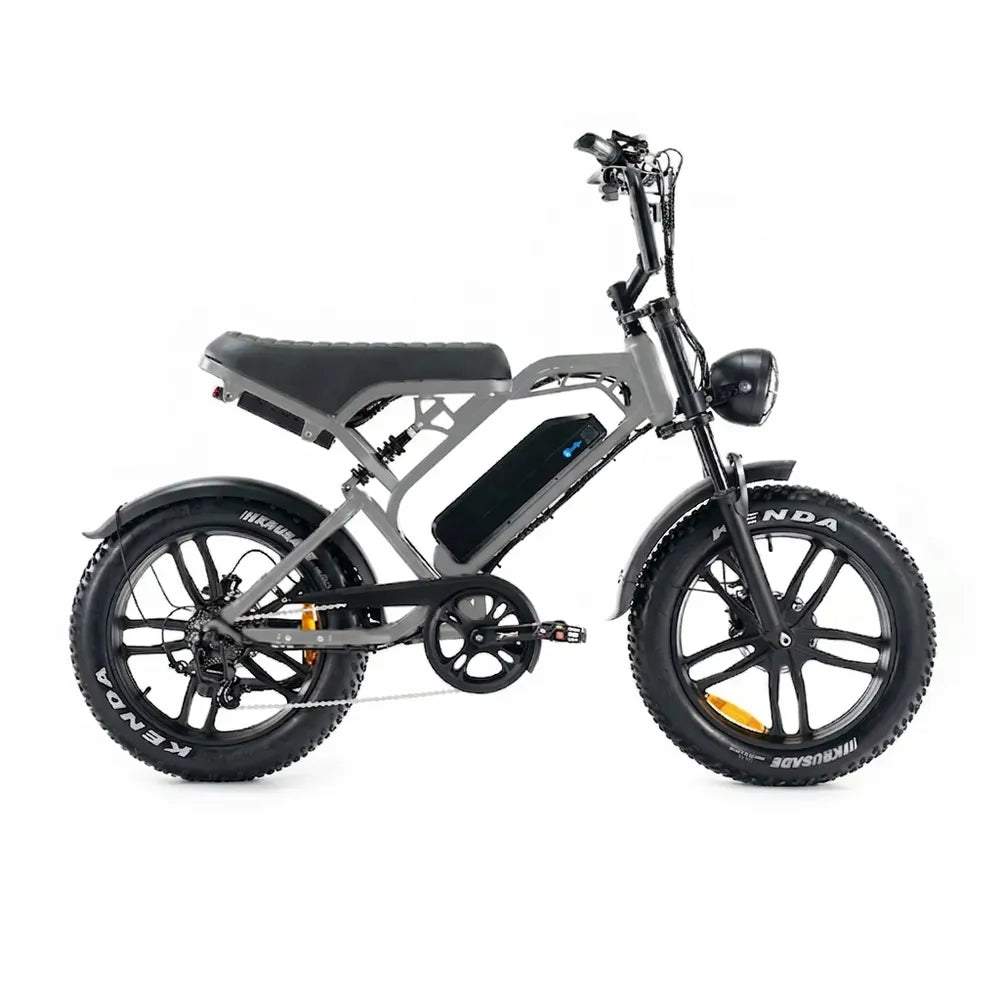 V20 Pro - Pilka