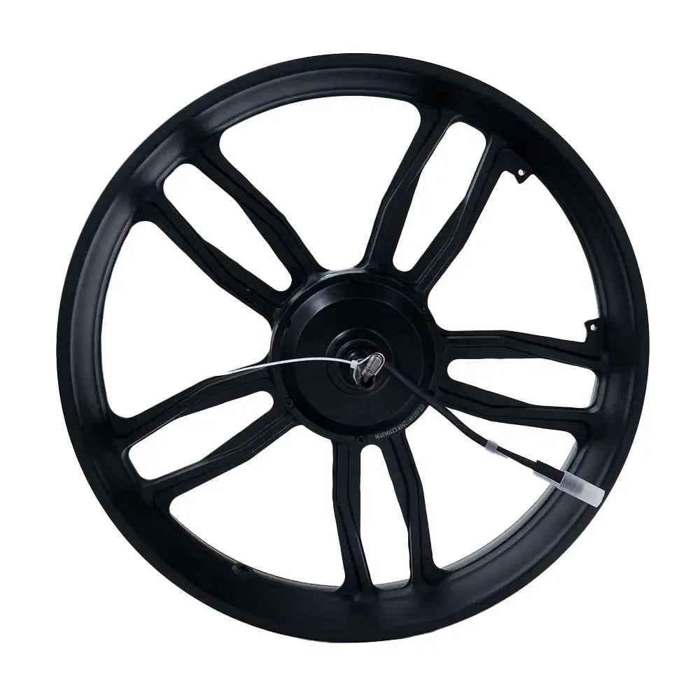 V20/S20 - Variklis - Met Velg - 250 vatų - juodas laidas